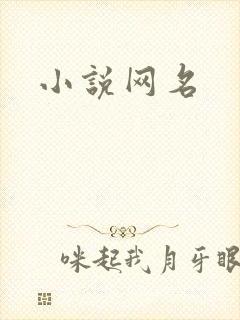 小说网名