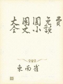 大团圆免费阅读全文小说封面