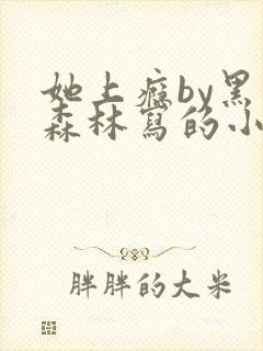 她上瘾by黑暗森林写的小说免费阅读无弹窗