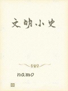 文明小史封面