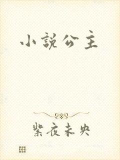 小说公主