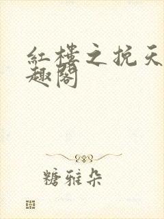 红楼之挽天倾笔趣阁