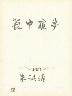 笼中窥梦