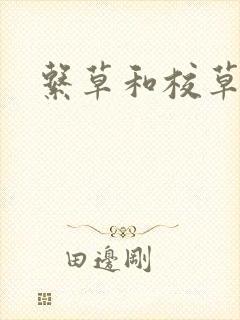 系草和校草封面