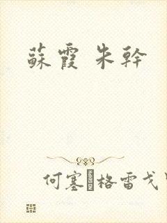 苏霞 朱干封面