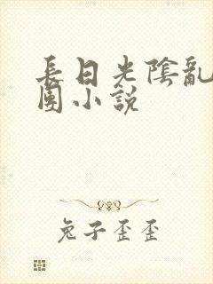 长日光阴乱作一团小说