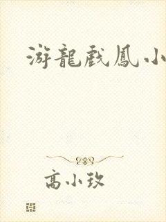游龙戏凤小说
