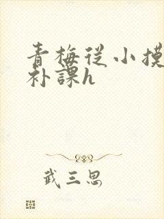 青梅从小摸到大补课h封面