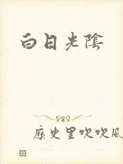白日光阴封面