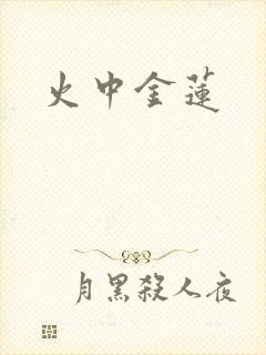 火中金莲封面