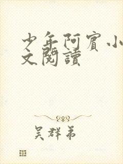 少年阿宾小说全文阅读封面