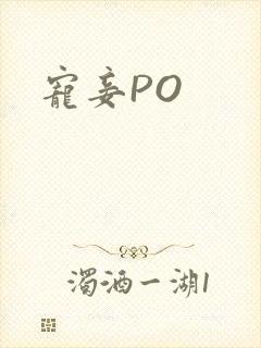 宠妾PO