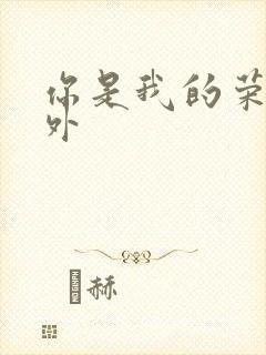 你是我的荣耀番外