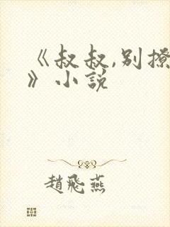 《叔叔,别撩我》小说