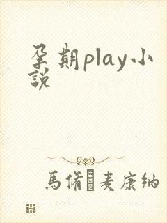 孕期play小说
