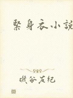 紧身衣小说