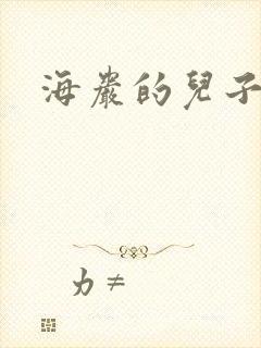 海岩的儿子