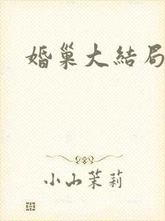 婚巢大结局