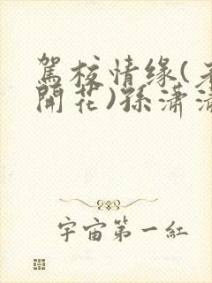 驾校情缘(老树开花)孙潇潇第一次趣笔阁