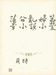 荡公乱妇第51章小说小莹