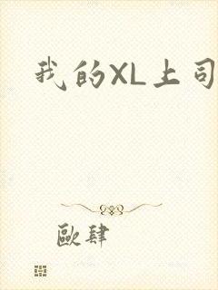 我的XL上司