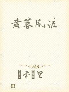 黄蓉风流封面
