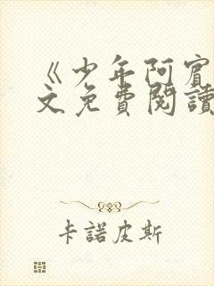 《少年阿宾》全文免费阅读