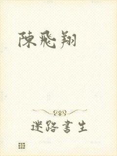 陈飞翔