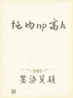 纯肉np高h封面