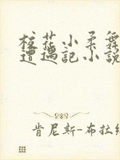 校花小柔舞蹈室遭遇记小说