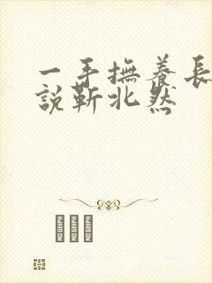 一手抚养长大小说靳北然封面