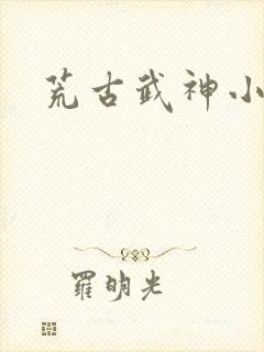 荒古武神小说