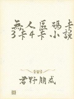 无人区码卡二卡3卡4卡小说
