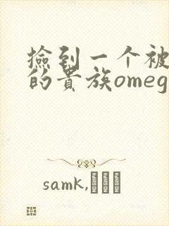 捡到一个被抹布的贵族omega