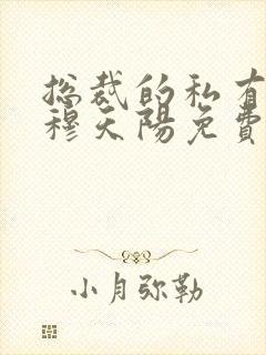总裁的私有宝贝穆天阳免费