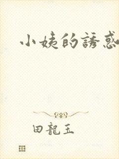 小姨的诱惑小说封面