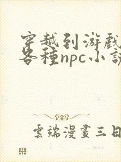 穿越到游戏里和各种npc小说