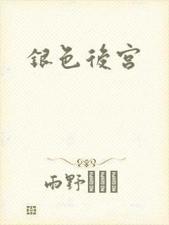 银色后宫封面