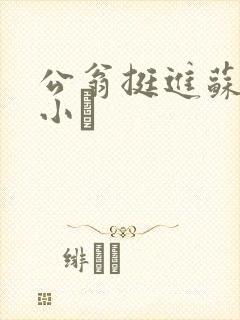 公翁挺进苏玥的小泬