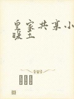 皇家共享小公主暖玉