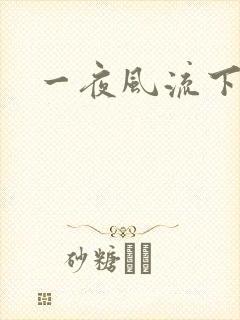 一夜风流下载