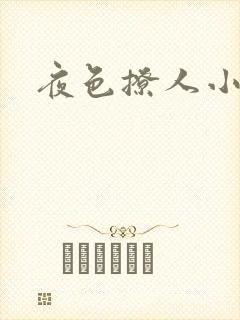 夜色撩人小说