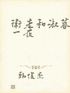 卫老和淑蓉销魂一夜封面
