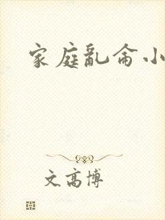 家庭乱仑小说封面