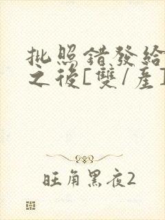 批照错发给情敌之后[双/产]