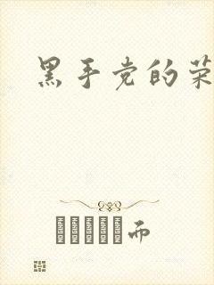 黑手党的荣耀封面