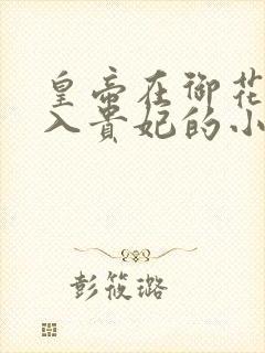 皇帝在御花园进入贵妃的小说