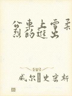 公车上雪柔被猛烈的进出