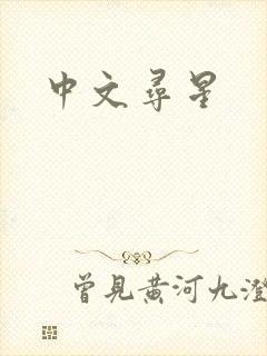 中文寻星