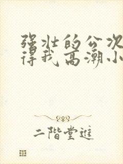 强壮的公次次弄得我高潮小说